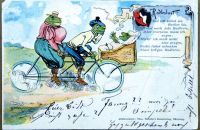Postcards - ANIMALS AND PETS