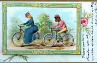 Postcards - ANIMALS AND PETS