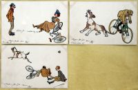 Postcards -  SETS