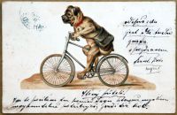 Postcards - ANIMALS AND PETS