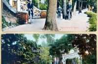 Postcards -  SETS
