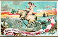 Postcards - ANIMALS AND PETS