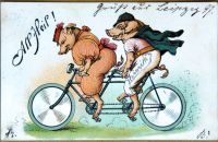 Postcards - ANIMALS AND PETS